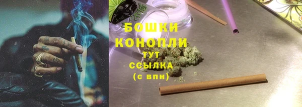 шишки Волосово