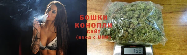 шишки Волосово